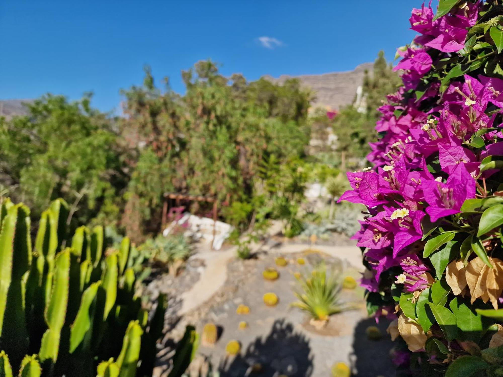 Historica Casa Con Vistas Al Jardin De Cactus Y Montanas Villa Mogan Luaran gambar