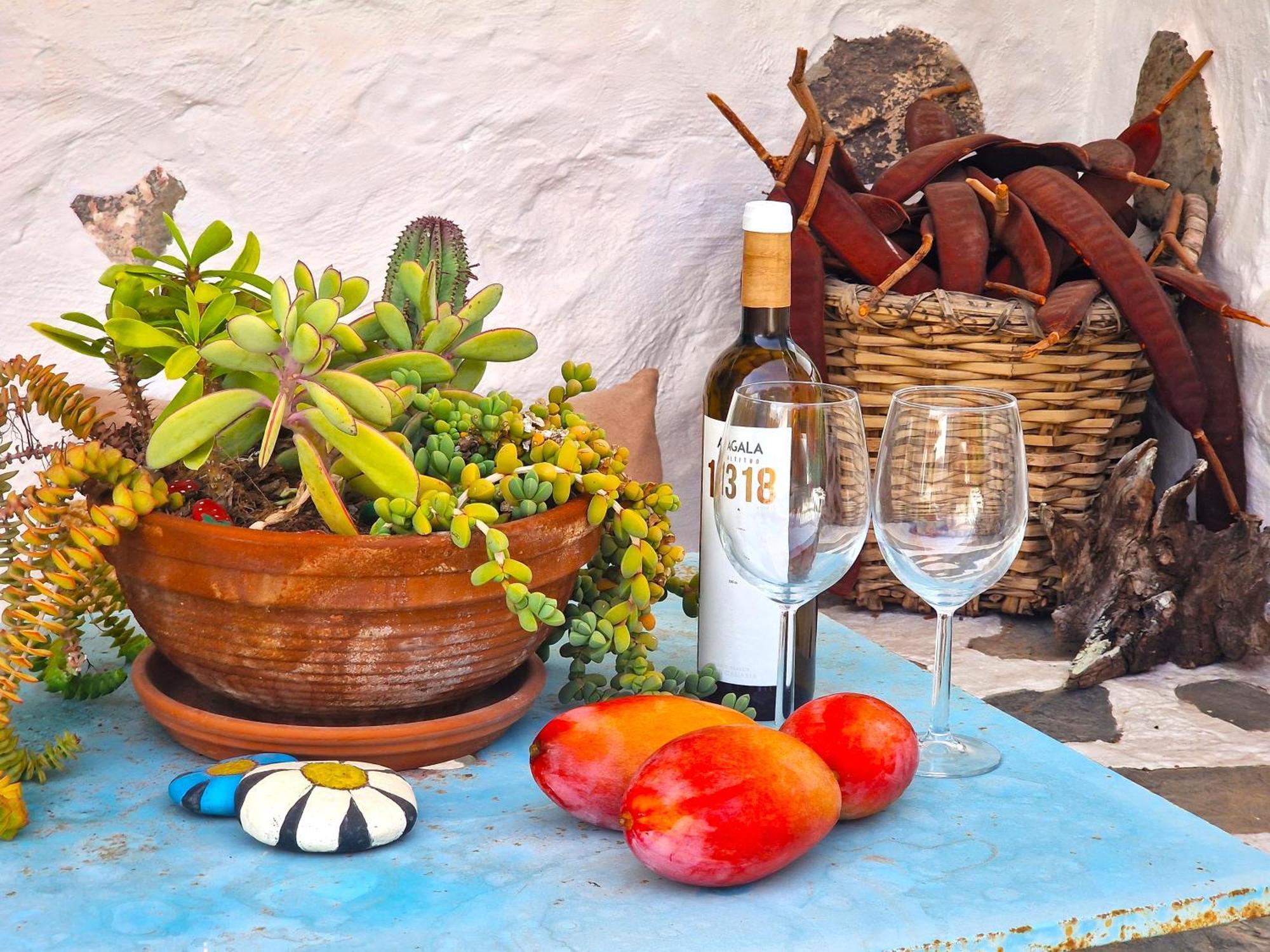 Historica Casa Con Vistas Al Jardin De Cactus Y Montanas Villa Mogan Luaran gambar